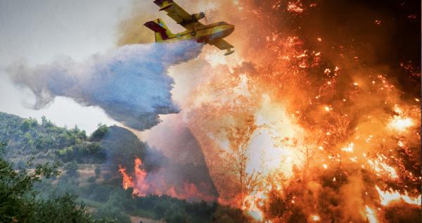 Bild 1 von 2: Die Taiga: das größte Waldgebiet der Erde und wertvoller Sauerstofflieferant. Ein Öko-System in Not: Erderwärmung und der Abbau von Rohstoffen zerstören riesige Flächen.
