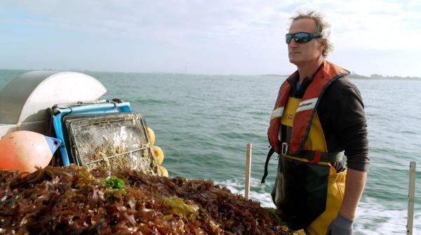 Bild 1 von 1: Sylvain Huchette betreibt in Plouguerneau in der Bretagne eine Abalonenzucht.
