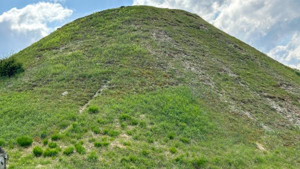 Bild 1 von 14: .