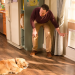 American Housewife