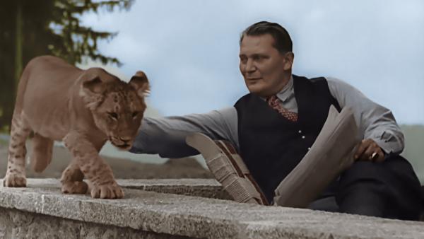 Bild 1 von 3: Hermann Göring posiert mit seinem Löwen Caesar für die Kameras der NS-Propaganda. (Kolorierte Aufnahme)