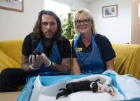 Pete Wicks - Aus Liebe zu Hunden
