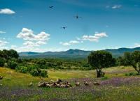 Portugal - Europas wilder Westen