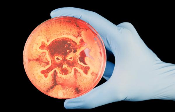 Bild 1 von 1: Bakterien gelten als Evolutionswunder. Wenn multiresistente Keime ihre Widerstandsfähigkeit untereinander weitergeben, wird das zum Problem.