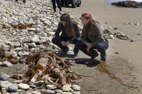 Bild 1 von 11: Patrick, Grace (Amanda Righetti, r.) und Teresa (Robin Tunney, l.) müssen den Tod einer jungen Frau aufklären, deren Leiche an den Strand einer Insel, die vor der Küste Kaliforniens liegt, gespült wurde ...