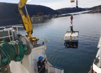 Enthüllt: Geheimnisse der Meere