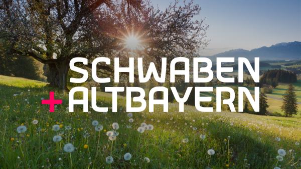 Bild 1 von 4: Key Visual/Cover Sendereihenbild mit Typo zu \