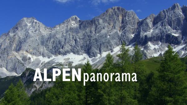 Bild 1 von 1: \