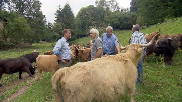 Bild 1 von 4: Jens im Tal der Rinderbarone mit ihren schottischen Highland-Rindern.