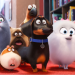 Pets