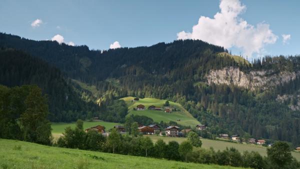 Bild 1 von 4: .