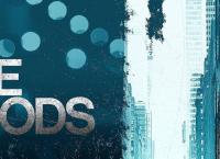 Blue Bloods - Crime Scene New York