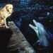 Flipper