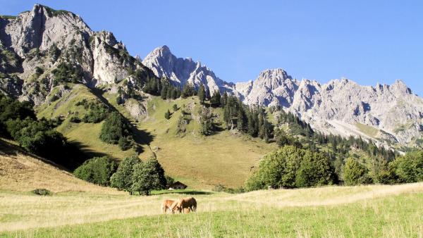 Bild 1 von 19: Im Bild: Arlberg Klostertal.