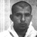 Der unbekannte Terrorist