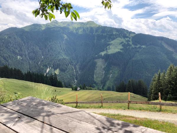 Bild 1 von 9: Im Bild: Blick von der Lüggegg-Alm in Jochberg.