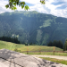 Kitzbüheler Almleben