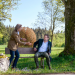 Sturm der Liebe