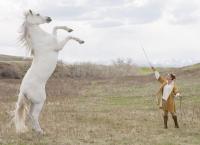 Heartland - Paradies für Pferde