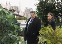 Blue Bloods - Crime Scene New York