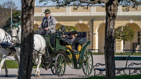 Bild 1 von 45: Im Bild: Ein sonniger Vormittag eignet sich perfekt für einen gemütlichen Ausflug in der Kutsche.