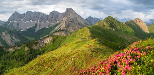 Bild 1 von 2: Im Bild: Diese \