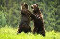 Abenteuer Wildnis