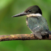Hotspots der Tierwelt