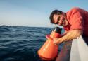 3sat 21:00: Faszination Wasser: Unser Mittelmeer - Was lebt unter der Oberfläche?