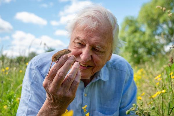 Bild 1 von 24: Im Bild: Sir David Attenborough mit einer Feldmaus. Paradise Fields, Greenford.