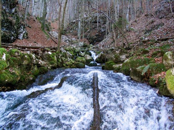 Bild 1 von 11: Quellgebiet.