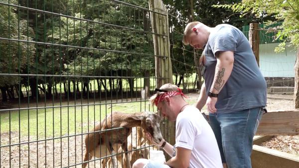 Bild 1 von 3: In Wismar verbringen Damian und sein Freund Lukas einen romantischen Tag im Zoo. Das frisch verliebte Paar genießt die gemeinsame Zeit in vollen Zügen.