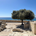 Zyperns Süden: Aphrodites Paradies im Mittelmeer
