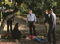 Criminal Minds
