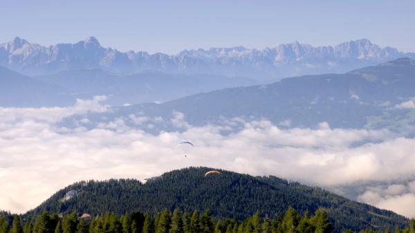Bild 1 von 14: .