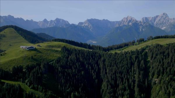 Bild 1 von 5: .