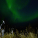 Siegrist und die Polarlichter