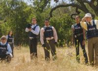Major Crimes