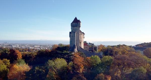 Bild 1 von 9: Diese Sendung widmet sich den Hausbergen der Wiener: Am Kahlenberg oberhalb der Weingärten von Sievering und Grinzing mit beeindruckendem Ausblick auf die Metropole Wien und das Wiener Becken beginnt der Streifzug in die vielfältige und geheimnisvolle Welt des Wienerwaldes. Der Wiener Wald war und ist Naherholungsgebiet, Sanatorium, Wander- und Freizeitparadies sowie Ort der historischen Sommerfrische mit viel Geschichte und \