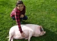 Anna und die Haustiere