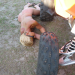 Bild 22