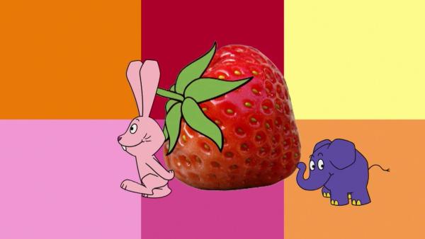 Bild 1 von 5: Hase und Elefant lieben Erdbeeren.