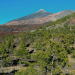 Teneriffa - Im Bann des Teide