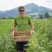 Bild 17