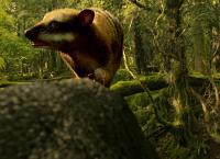 Die letzten Stunden der Dinosaurier