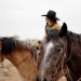 Fremder Stern Texas - Mehr als Cowboys, Öl und Wilder Westen