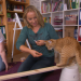 3 Engel für Tiere