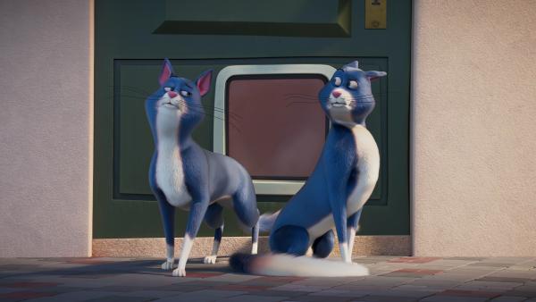 Bild 1 von 1: Kater Prinz hat einen Doppelgänger, der sich bei ihm eingeschlichen hat. Die Coop Troop soll herausfinden, welcher von beiden Katern der echte Prinz ist.