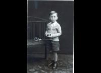 Die Kriegsjahre in Österreich - Der Krieg kommt ins Land