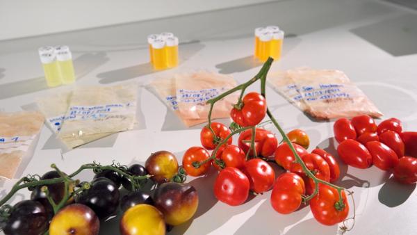 Bild 1 von 10: Im Bild: Die gelbroten Pflanzenfarbstoffe der Tomaten können vor Herz-Kreislauferkrankungen schützen, und  das Risiko bestimmter Krebserkrankungen mindern.